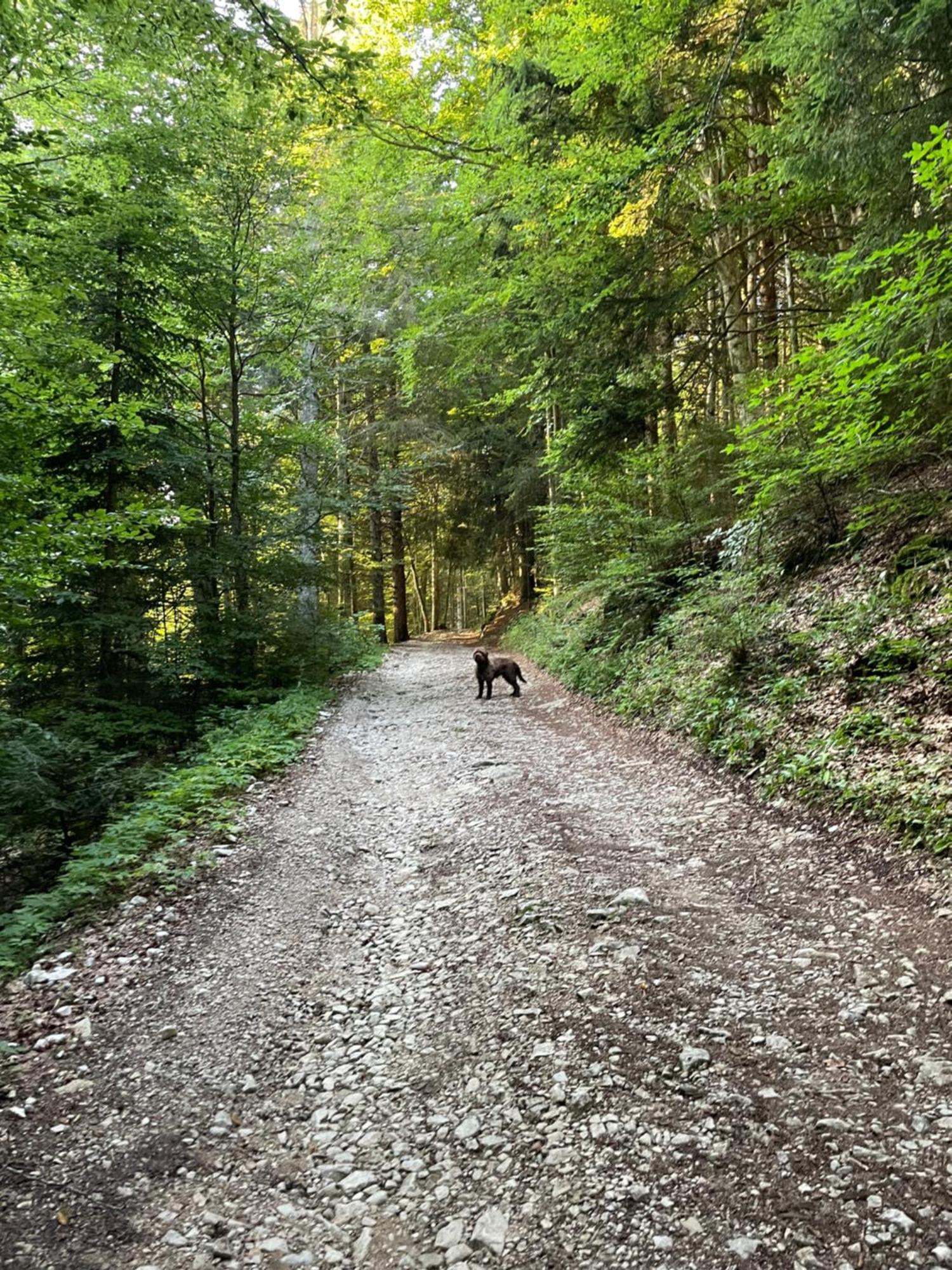 Giulio Mountain B&B Ala Dış mekan fotoğraf